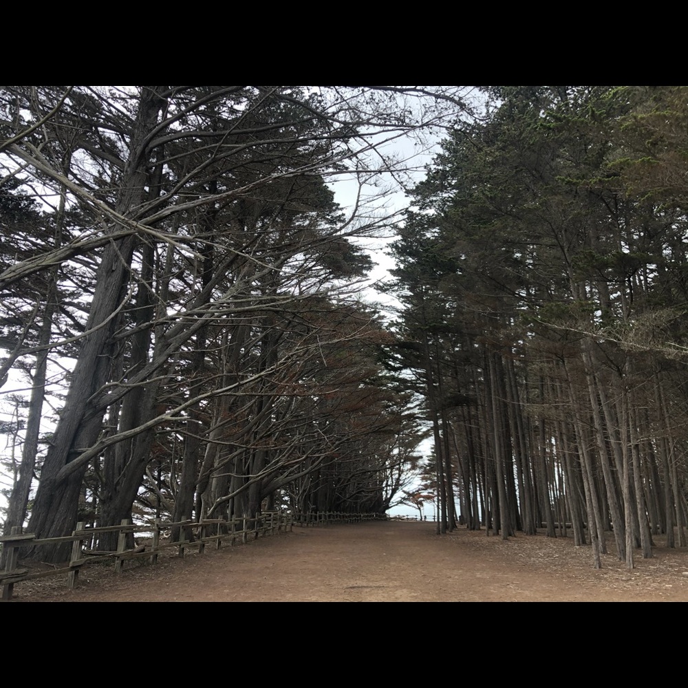 Meet your Posher, Penny